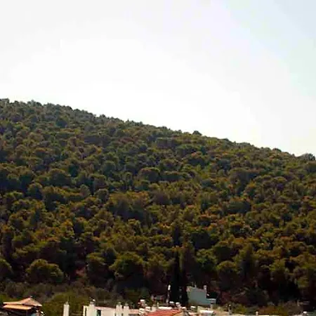 Dolphins Ξενοδοχείο 4*