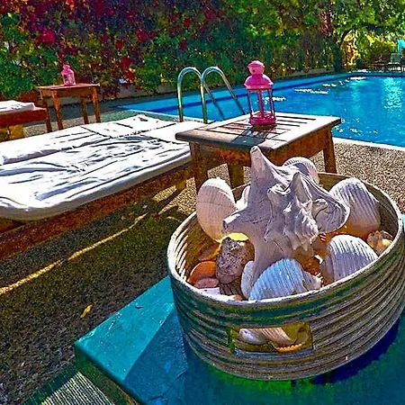 Dolphins 4* Γαλατάς
