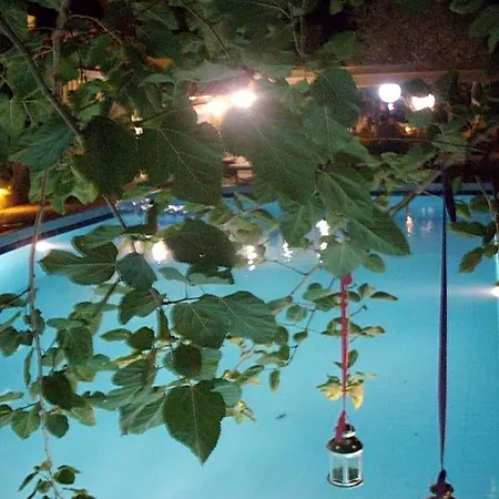 Ξενοδοχείο Dolphins Γαλατάς
